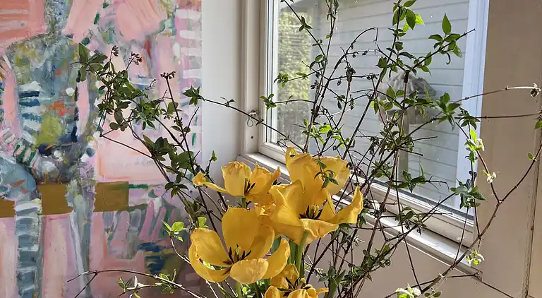 Skønt beliggende sommerhus i Dronningmølle