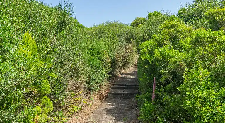 Ferienwohnung in Ciutadella de Menorca