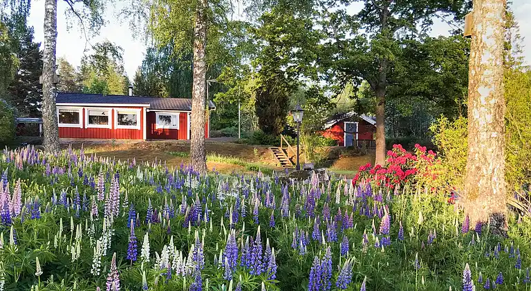 Sommerhus i Askersund Ö