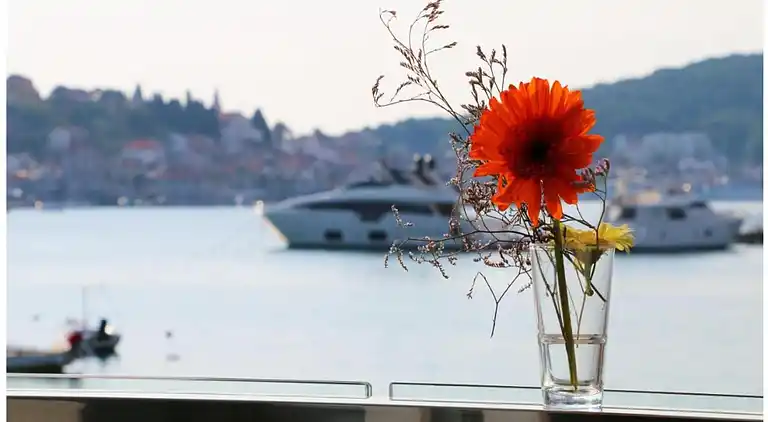 Sommerhus i Rogoznica