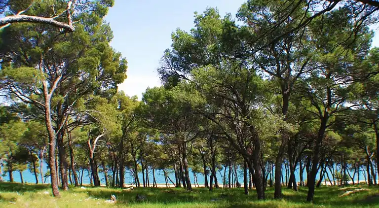 Sommerhus i Rogoznica