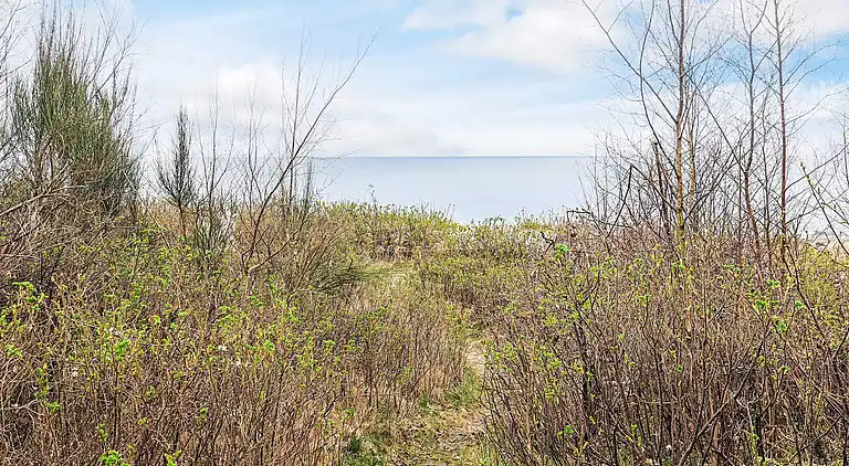 Semesterbostad i Dronningmølle