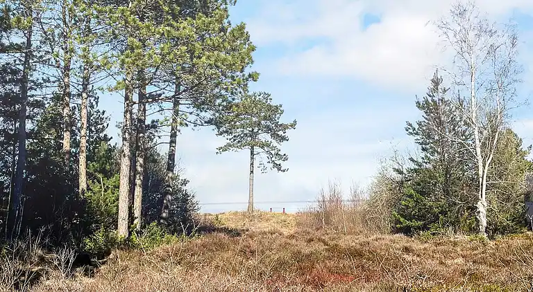 Semesterbostad i Havneby