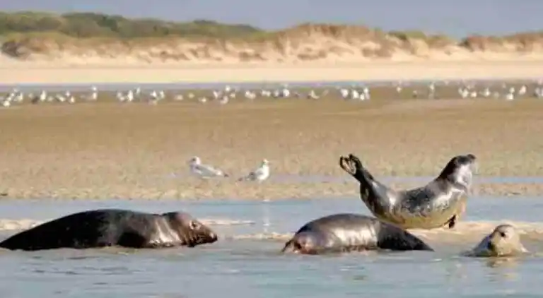 Holiday home in Arry