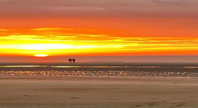 Cottage in Wechelderzande