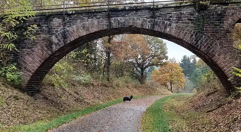 Cottage in Wechelderzande
