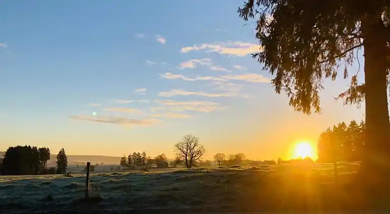 Cottage in Wechelderzande