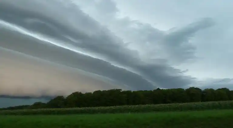 Cottage in Wechelderzande