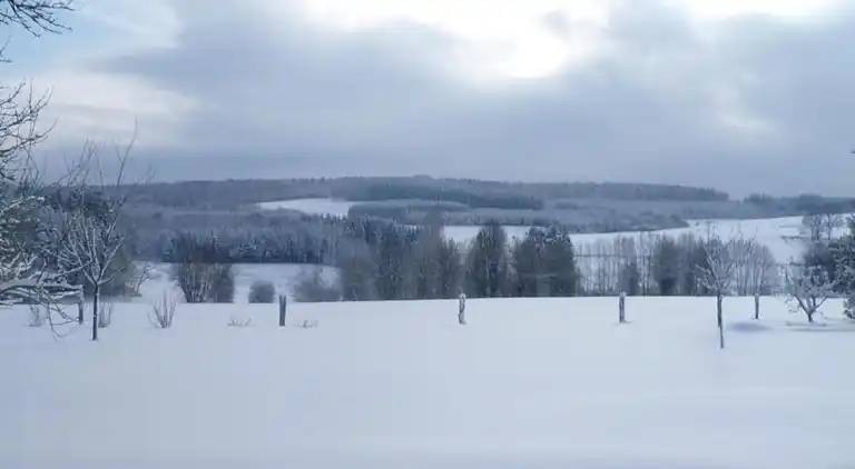 Cottage in Wechelderzande