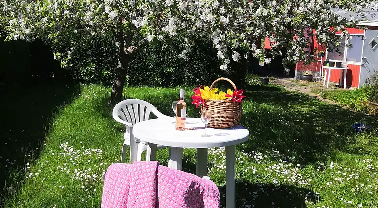 Familieferie nær strand, by og natur