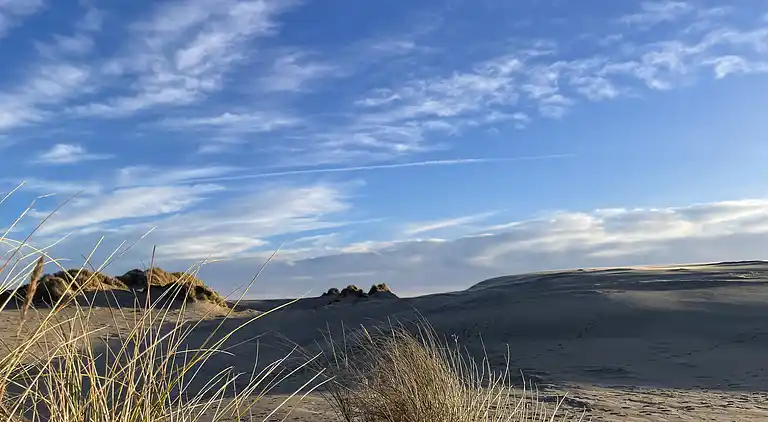 Unik beliggenhed på kæmpe solrig naturgrund 