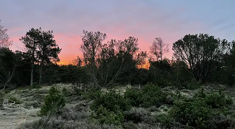 Unik beliggenhed på kæmpe solrig naturgrund 