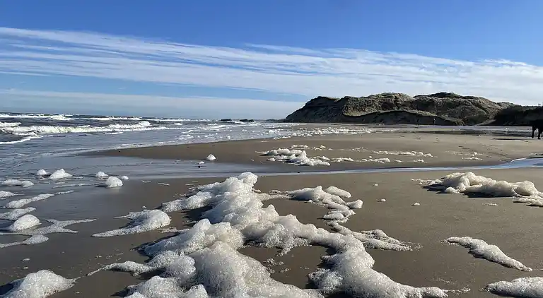 Unik beliggenhed på kæmpe solrig naturgrund 