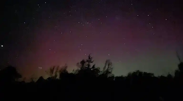 Unik beliggenhed på kæmpe solrig naturgrund 