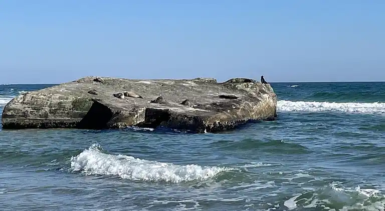 Unik beliggenhed på kæmpe solrig naturgrund 