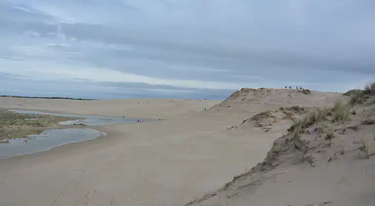 Unik beliggenhed på kæmpe solrig naturgrund 