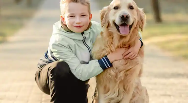 Holiday home in Azay-le-Rideau