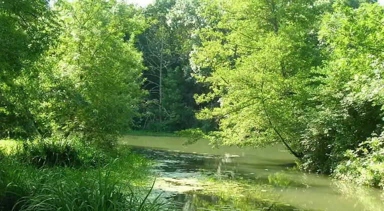 Holiday home in Azay-le-Rideau