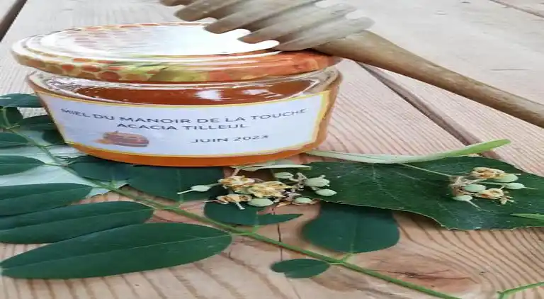 Holiday home in Azay-le-Rideau