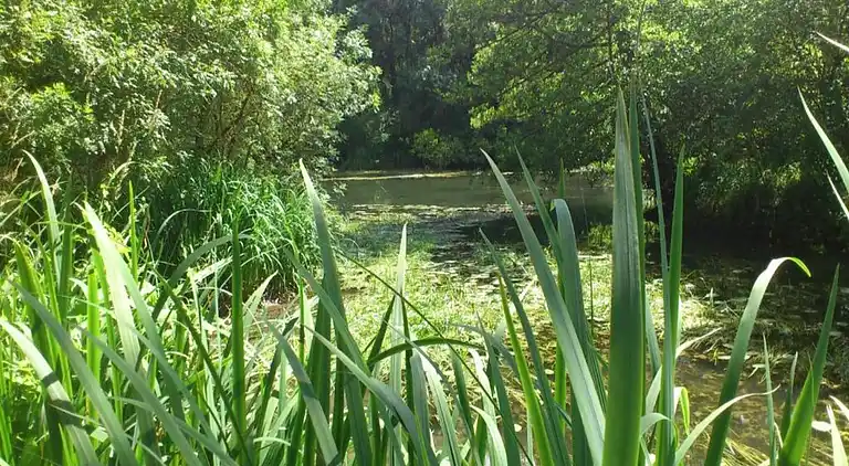 Holiday home in Azay-le-Rideau