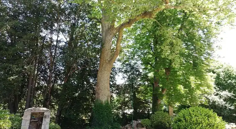 Holiday home in Azay-le-Rideau