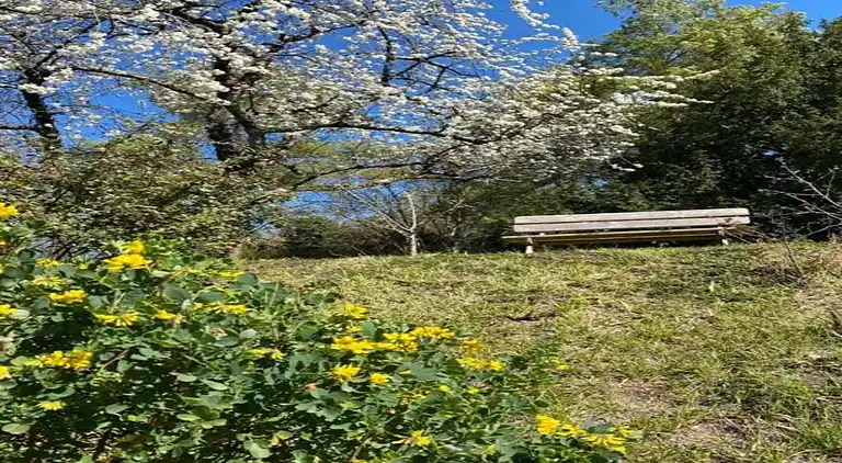 Holiday home in Azay-le-Rideau
