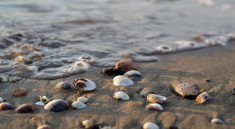 Ferienhaus in Porto Santa Margherita