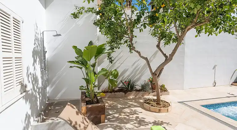 Ferienwohnung in Maria de la Salut