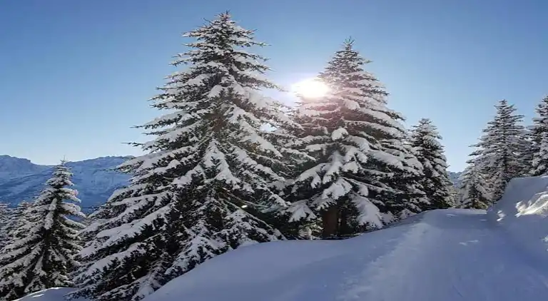 Apartment in Lechaschau