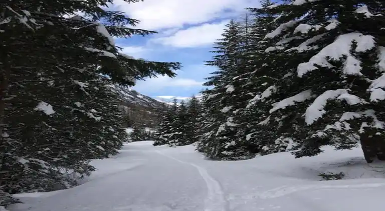 Apartment in Lechaschau