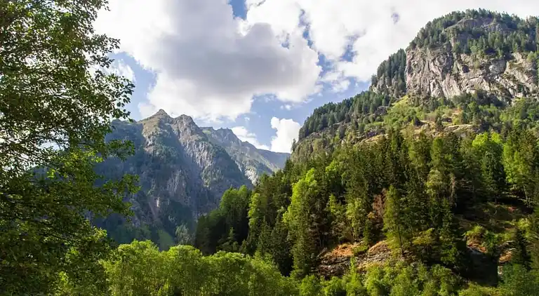 Apartment in Lechaschau