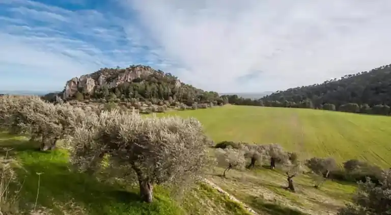 Villa in Mancor de la Vall