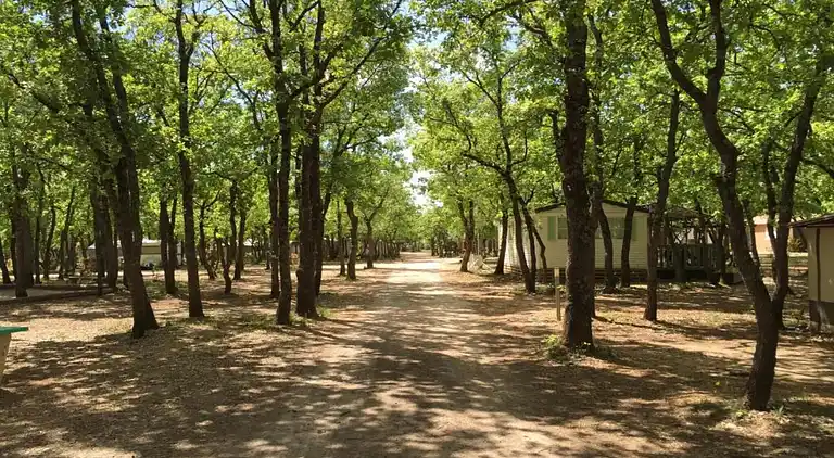 Holiday home in Saint-Saturnin-lès-Apt