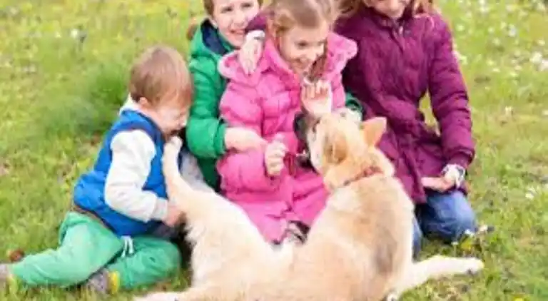 Ferielejlighed i Paradou