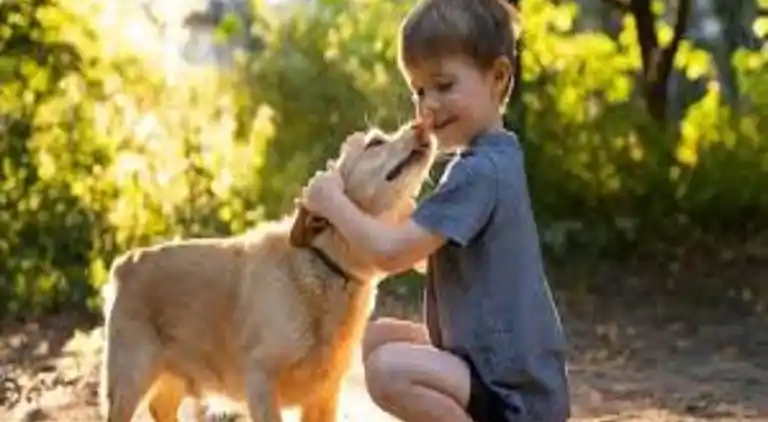 Ferielejlighed i Paradou