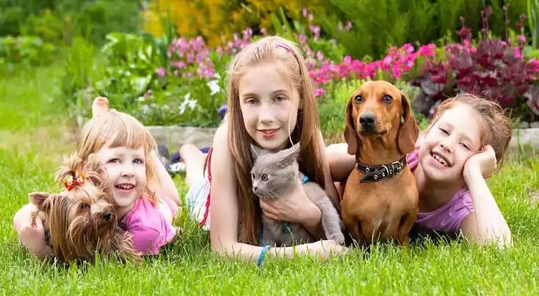 Ferielejlighed i Paradou