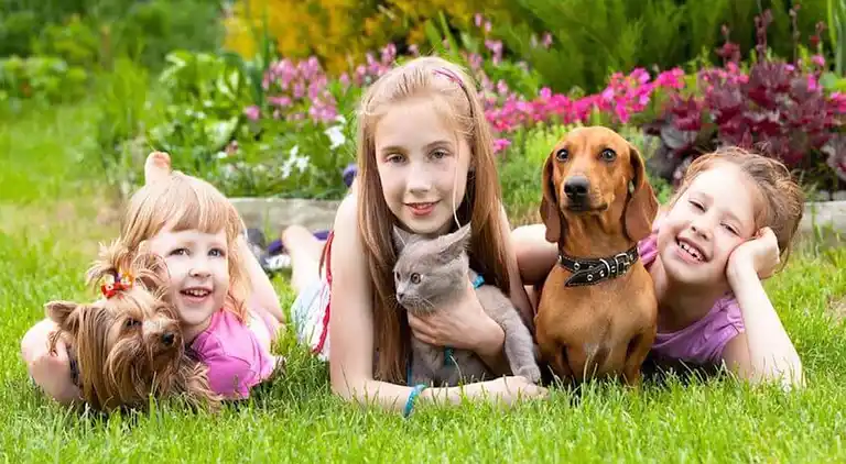 Appartement au Fréhel