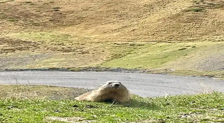 Apartment in Saint-Lary-Soulan