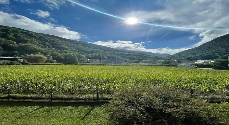 Apartment in Saint-Lary-Soulan