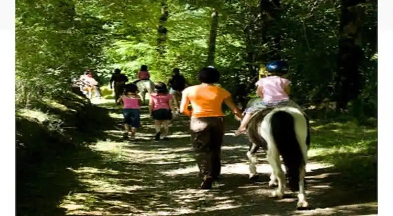 Apartment in Saint-Lary-Soulan