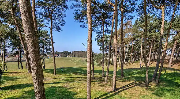 Apartment in Fritton