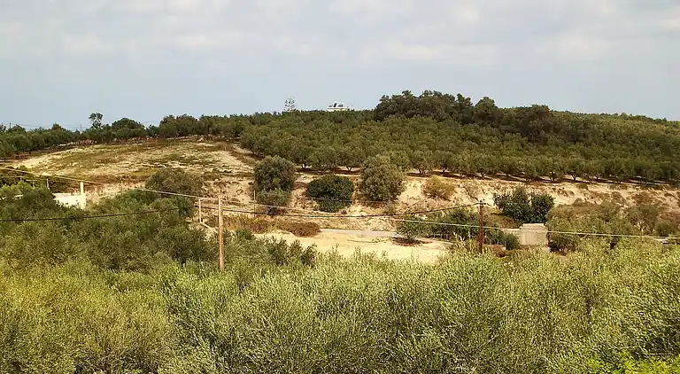 Villa in Τοπική Κοινότητα Μέσης