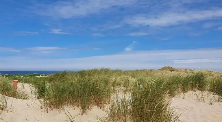 Bungalow in Isábena