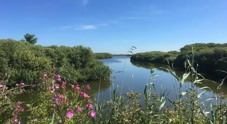 Bungalow in Isábena