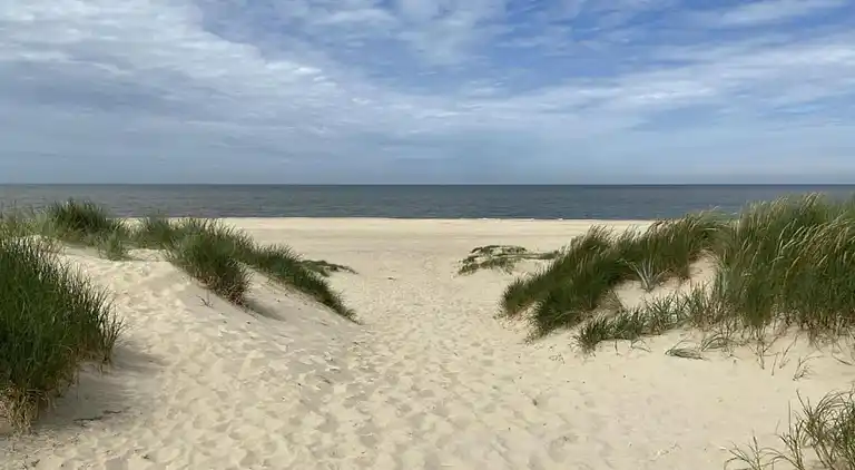 Bungalow in Isábena