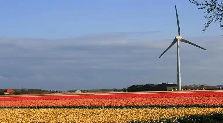 Bungalow in Isábena