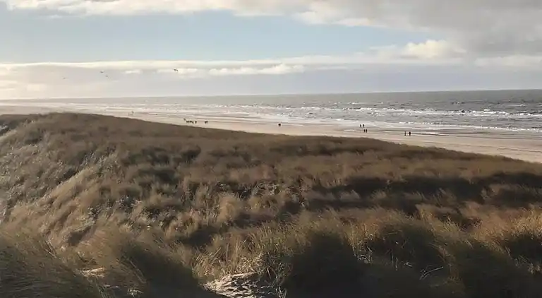 Bungalow in Isábena