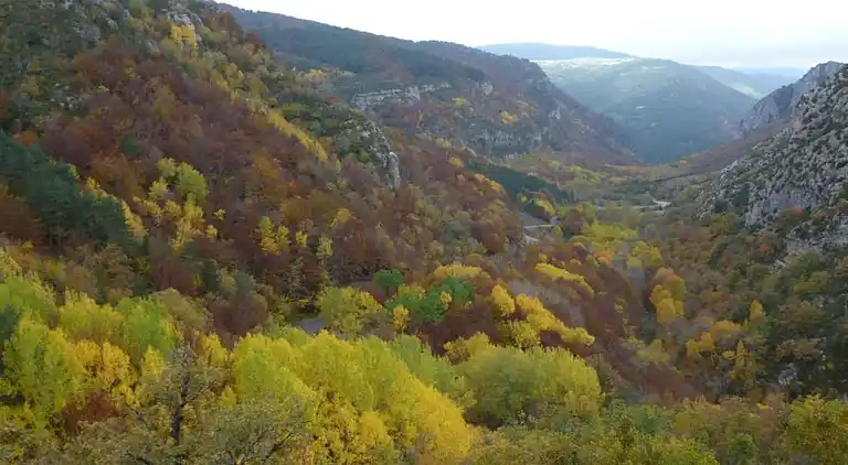 Bungalow in Isábena