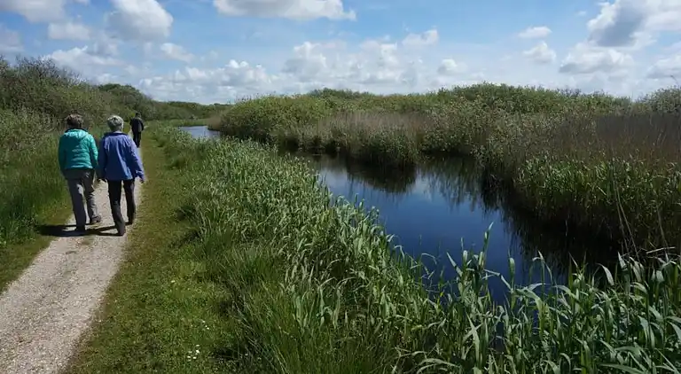Bungalow in Isábena