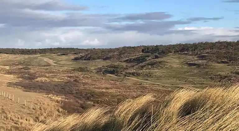 Bungalow in Isábena